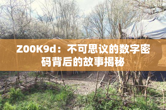 Z00K9d：不可思议的数字密码背后的故事揭秘