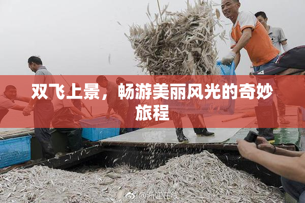 双飞上景，畅游美丽风光的奇妙旅程