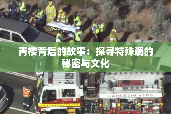 青楼背后的故事：探寻特殊调的秘密与文化