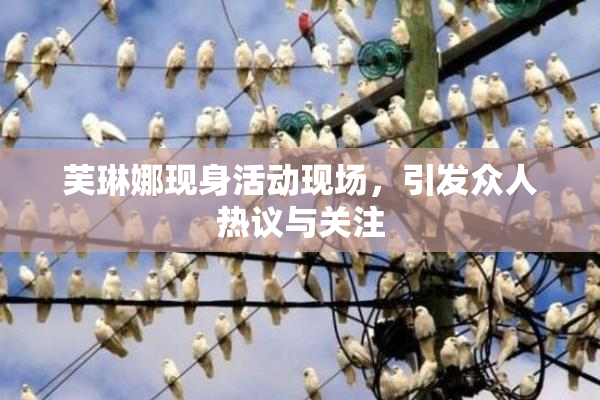 芙琳娜现身活动现场，引发众人热议与关注