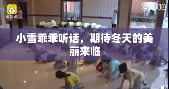 小雪乖乖听话，期待冬天的美丽来临