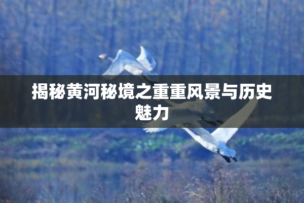 揭秘黄河秘境之重重风景与历史魅力