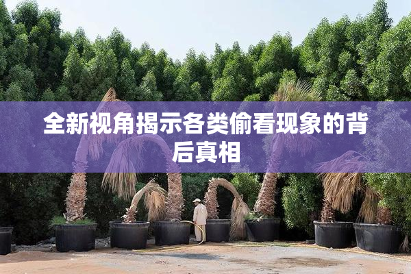 全新视角揭示各类偷看现象的背后真相
