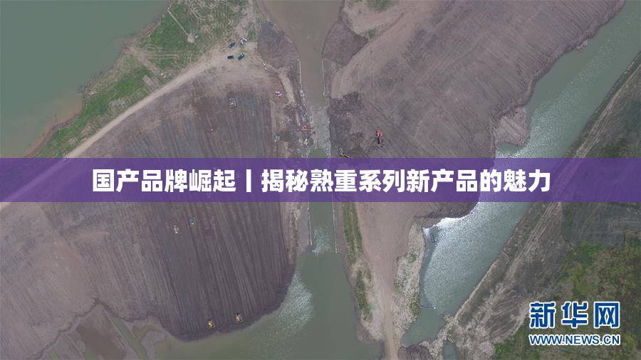 国产品牌崛起丨揭秘熟重系列新产品的魅力
