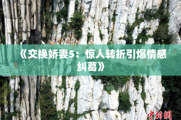 《交换娇妻5：惊人转折引爆情感纠葛》