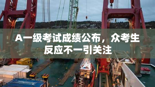 A一级考试成绩公布，众考生反应不一引关注