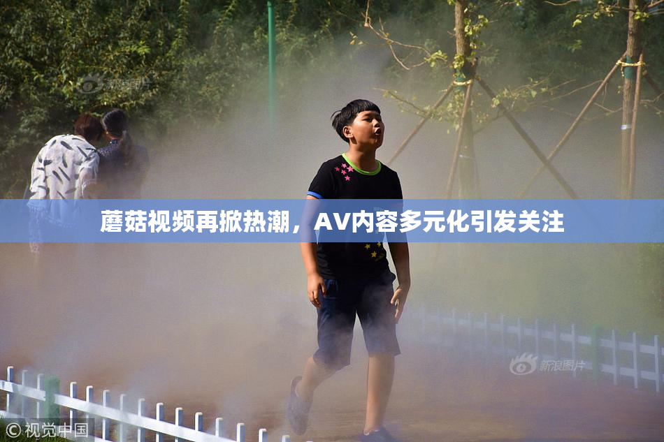 蘑菇视频再掀热潮，AV内容多元化引发关注