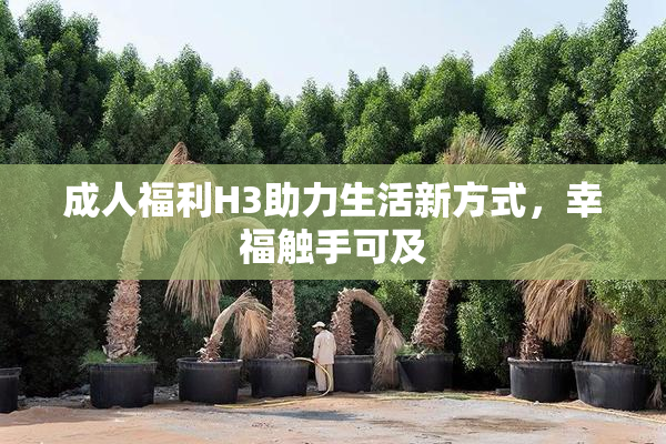 成人福利H3助力生活新方式，幸福触手可及