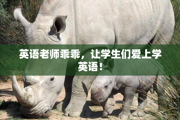 英语老师乖乖，让学生们爱上学英语！