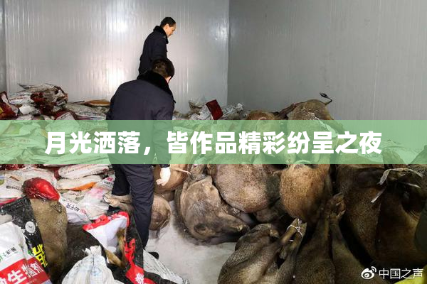 月光洒落，皆作品精彩纷呈之夜