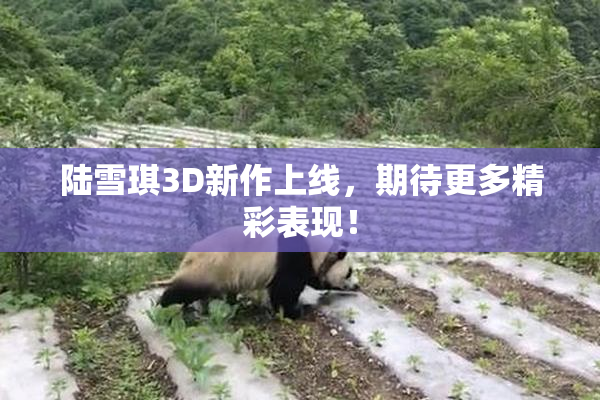 陆雪琪3D新作上线，期待更多精彩表现！