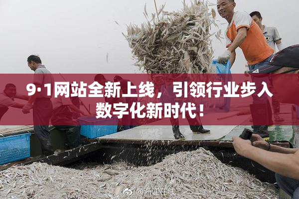 9·1网站全新上线，引领行业步入数字化新时代！