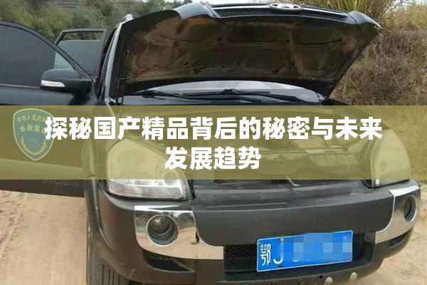 探秘国产精品背后的秘密与未来发展趋势