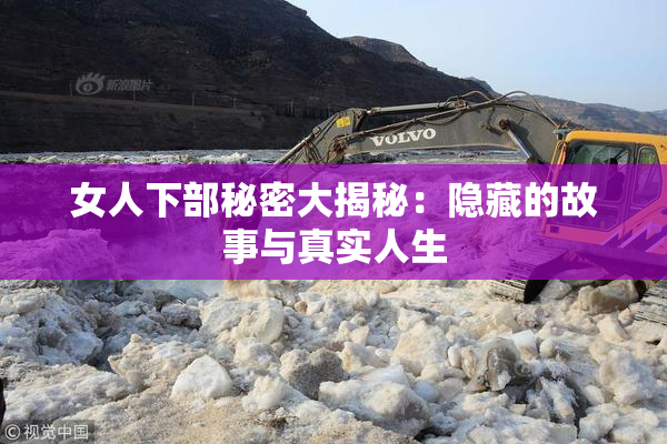 女人下部秘密大揭秘：隐藏的故事与真实人生