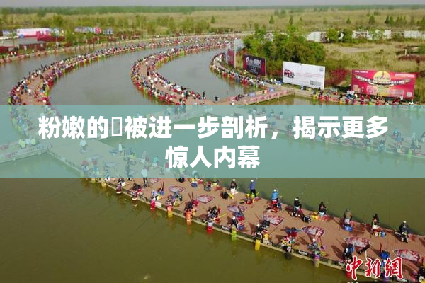 粉嫩的泬被进一步剖析，揭示更多惊人内幕
