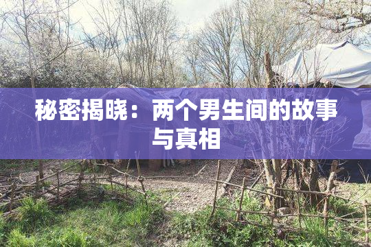 秘密揭晓：两个男生间的故事与真相