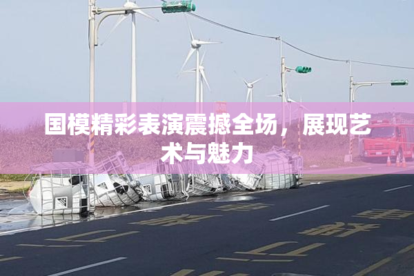 国模精彩表演震撼全场，展现艺术与魅力