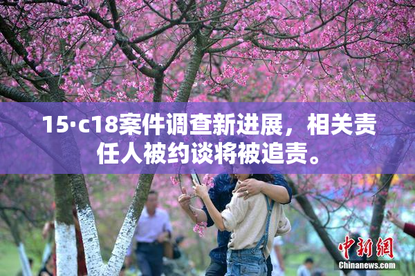 15·c18案件调查新进展，相关责任人被约谈将被追责。