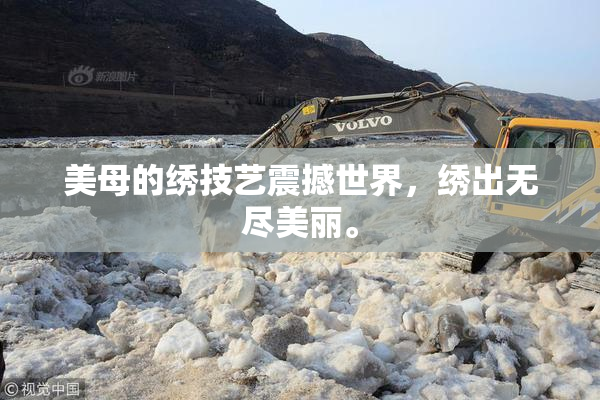 美母的绣技艺震撼世界，绣出无尽美丽。