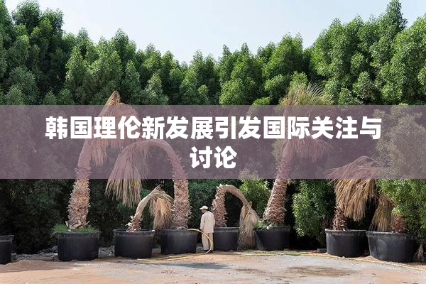 韩国理伦新发展引发国际关注与讨论