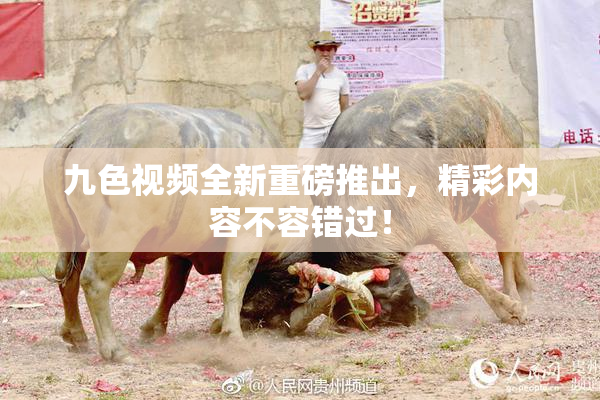 九色视频全新重磅推出，精彩内容不容错过！