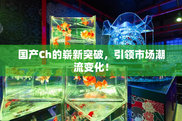 国产Ch的崭新突破，引领市场潮流变化！