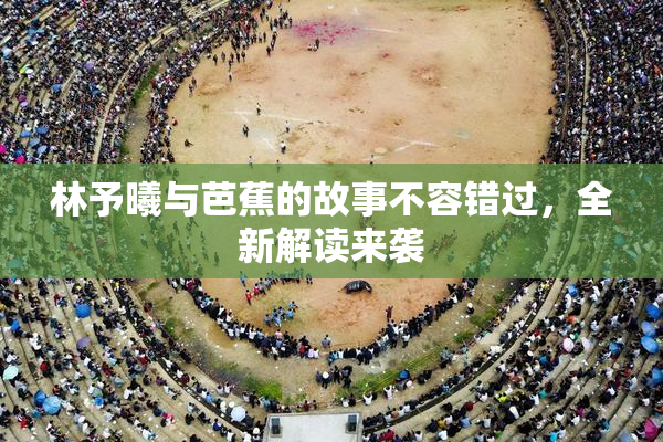 林予曦与芭蕉的故事不容错过，全新解读来袭