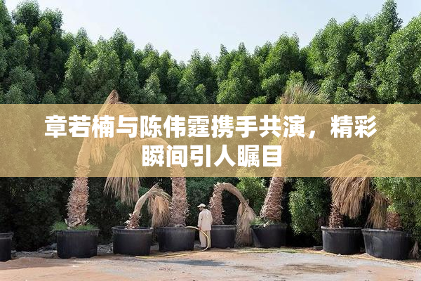 章若楠与陈伟霆携手共演，精彩瞬间引人瞩目
