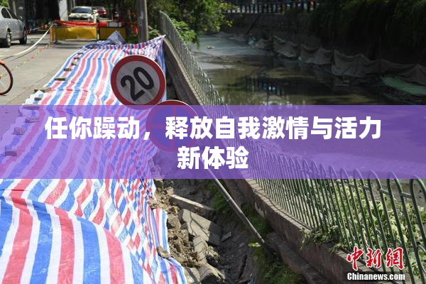 任你躁动，释放自我激情与活力新体验
