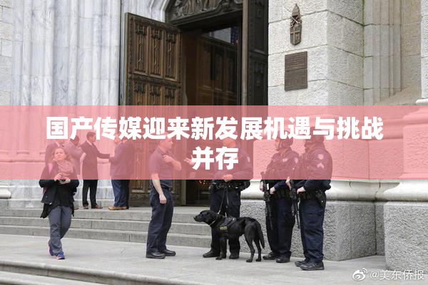 国产传媒迎来新发展机遇与挑战并存