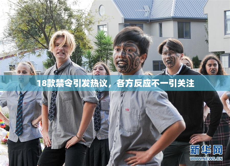 18款禁令引发热议，各方反应不一引关注