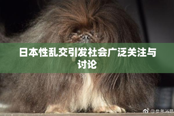 日本性乱交引发社会广泛关注与讨论