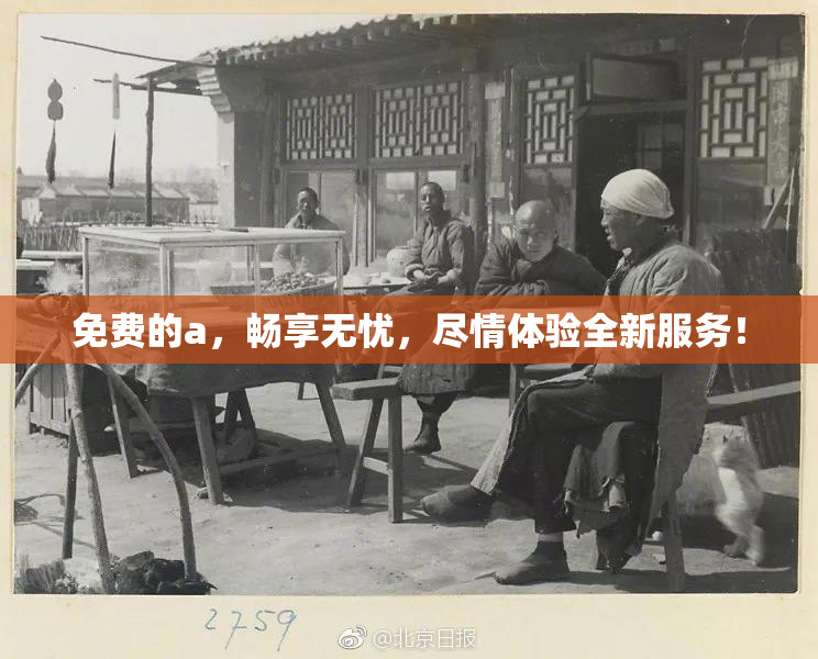 免费的a，畅享无忧，尽情体验全新服务！