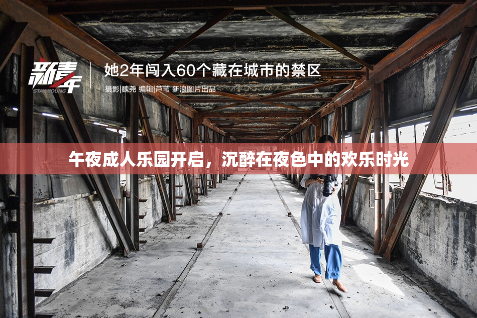 午夜成人乐园开启，沉醉在夜色中的欢乐时光