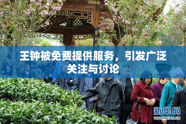 王钟被免费提供服务，引发广泛关注与讨论