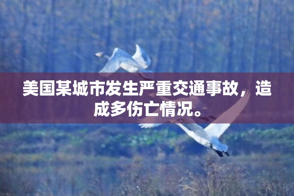 美国某城市发生严重交通事故，造成多伤亡情况。
