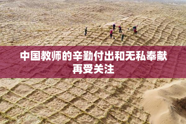 中国教师的辛勤付出和无私奉献再受关注