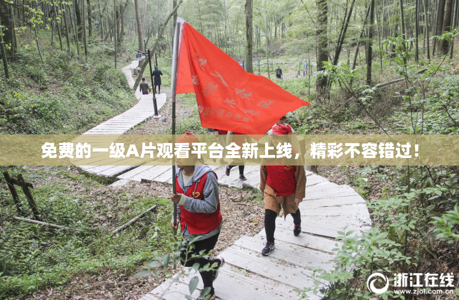 免费的一级A片观看平台全新上线，精彩不容错过！