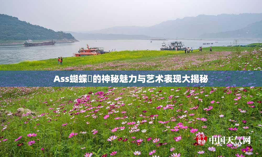 Ass蝴蝶泬的神秘魅力与艺术表现大揭秘