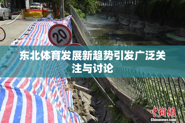 东北体育发展新趋势引发广泛关注与讨论