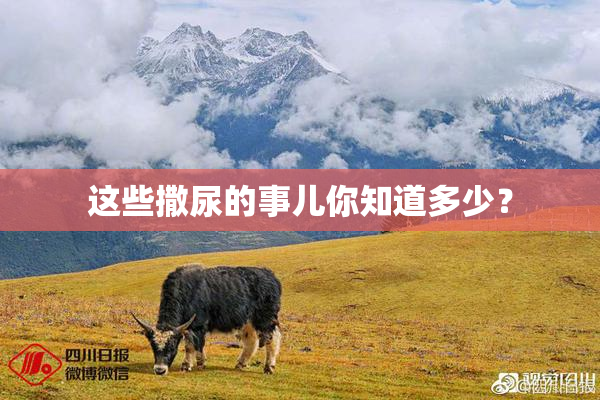这些撒尿的事儿你知道多少？