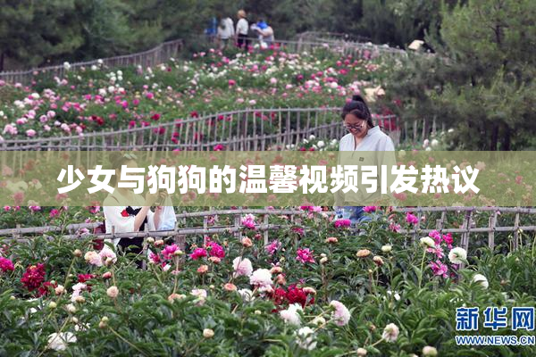 少女与狗狗的温馨视频引发热议