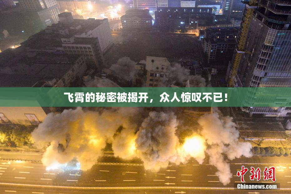 飞霄的秘密被揭开，众人惊叹不已！