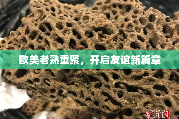 欧美老熟重聚，开启友谊新篇章