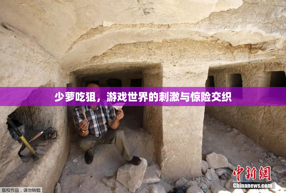 少萝吃狙，游戏世界的刺激与惊险交织