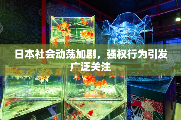 日本社会动荡加剧，强权行为引发广泛关注