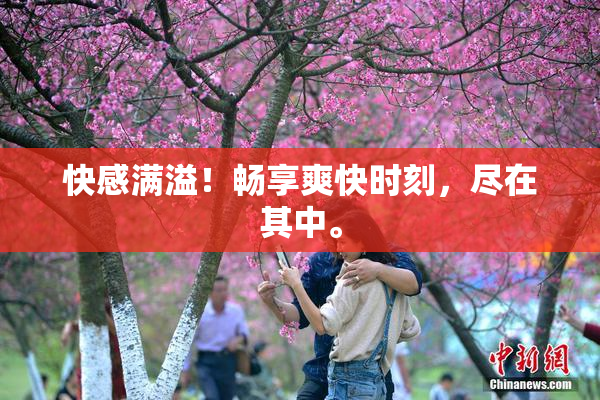 快感满溢！畅享爽快时刻，尽在其中。