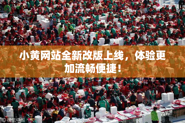 小黄网站全新改版上线，体验更加流畅便捷！