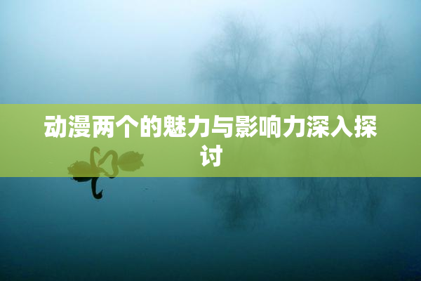 动漫两个的魅力与影响力深入探讨