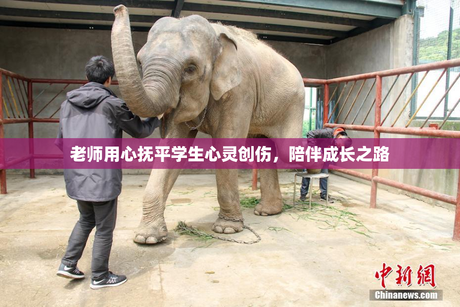 老师用心抚平学生心灵创伤，陪伴成长之路